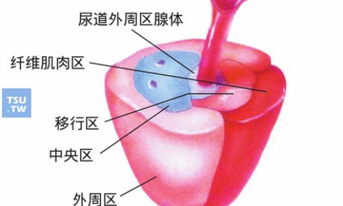 利保利通-保利通存款属于什么专区_保利通存款被国家认可吗专区_保利通功效网